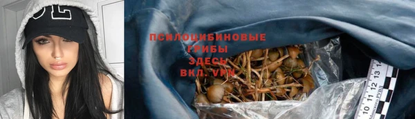 молекула духа Алексеевка
