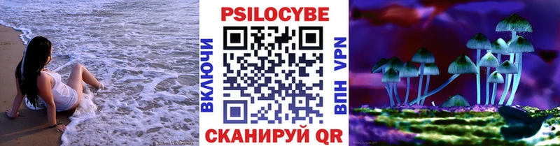 Галлюциногенные грибы Psilocybine cubensis  магазин  наркотиков  Уссурийск 