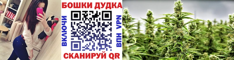 Каннабис сатива  Уссурийск 